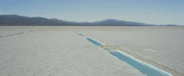 ARG PROGRAM SALTADAY4 1