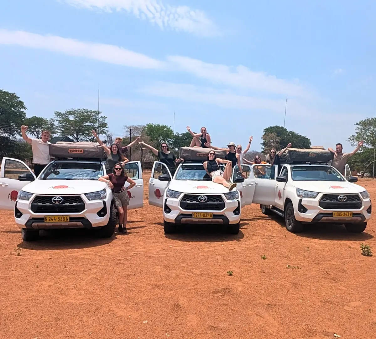 groep-toeristen-bij-terreinwagens-op-savanne &middot; namibia-botswana-en-victoria-falls