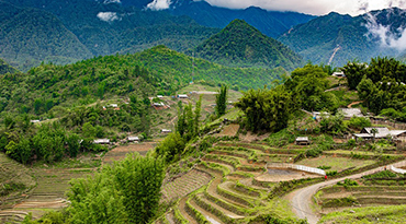 Trek door de rijstvelden van Sapa