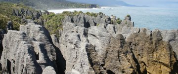 NZL Program18