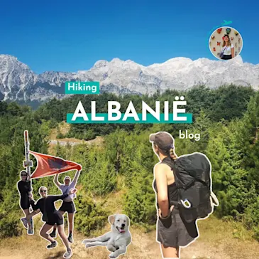 Blogpost teaser image