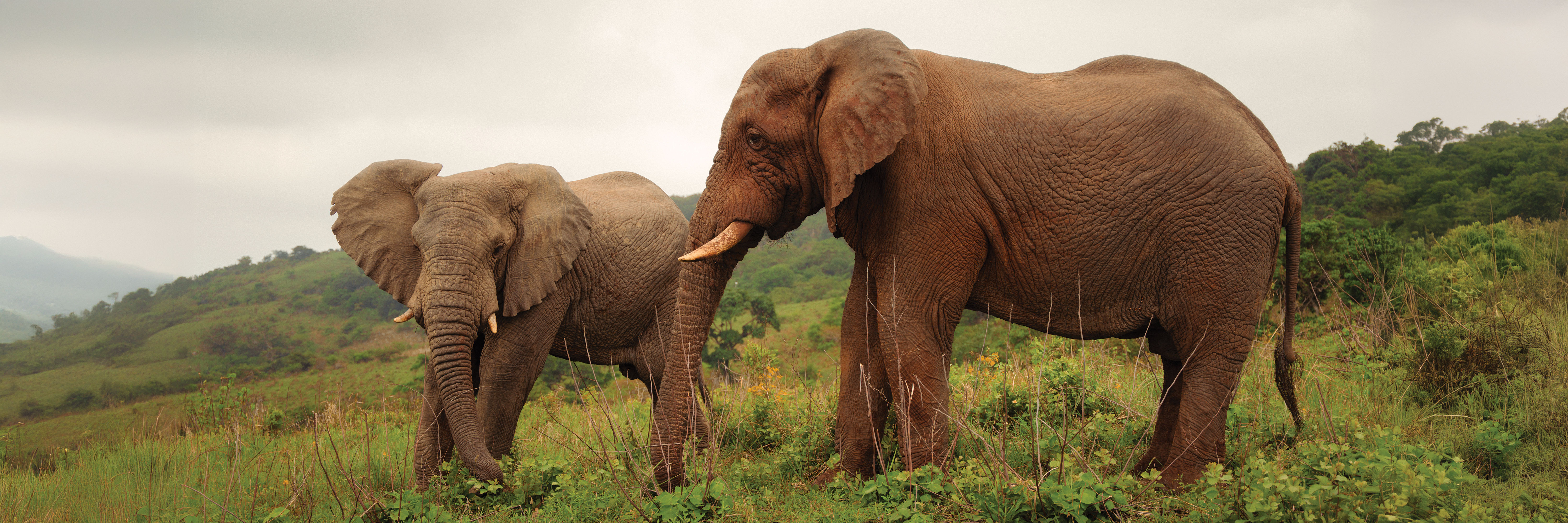 banner afbeelding over Costa Rica