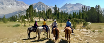 Trip COL Program (10)