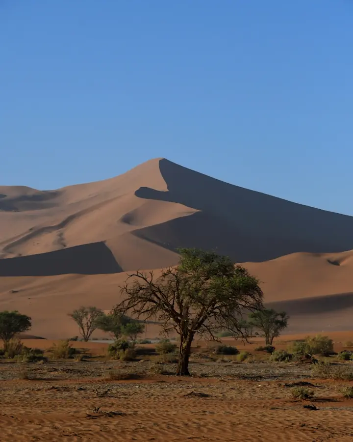 banner afbeelding over Groepsreis Namibië