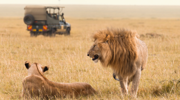 Drie dagen op safari op zoek naar de Big 5