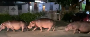 ZAS TripProgram Sint Lucia