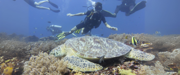 indonesie groepsreis gili duiken