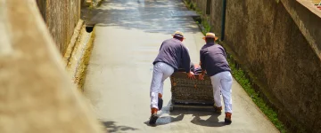 POM TripProgram Funchal