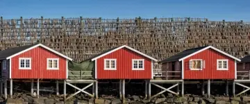 Reisfoto Groepsreis de Lofoten Noorwegen