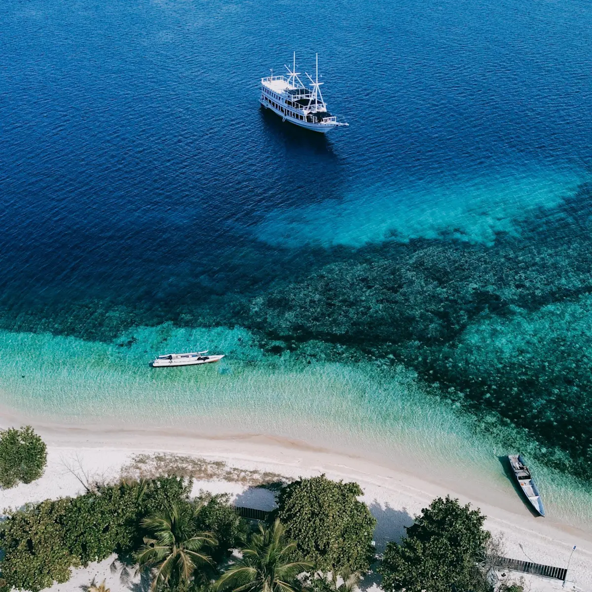 Blogpost IND komodo foto square