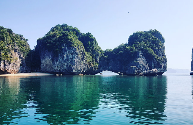 TRIP VIE Banner groot