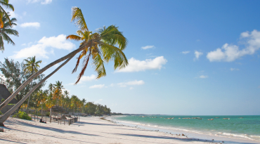 Relaxen op de witte stranden in Zanzibar