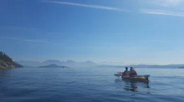 Spot wildlife op een 2-daagse kayaktocht in Vancouver Island