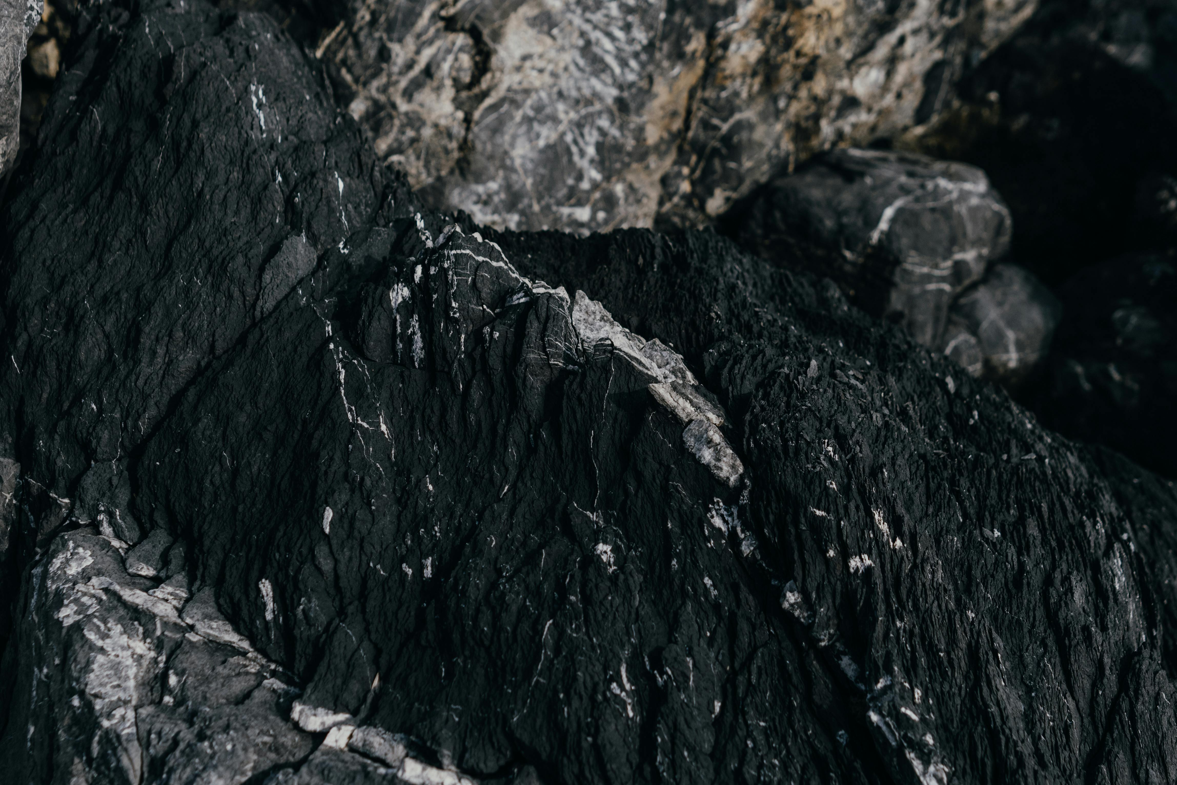 pexels-polina-kovaleva-6788506