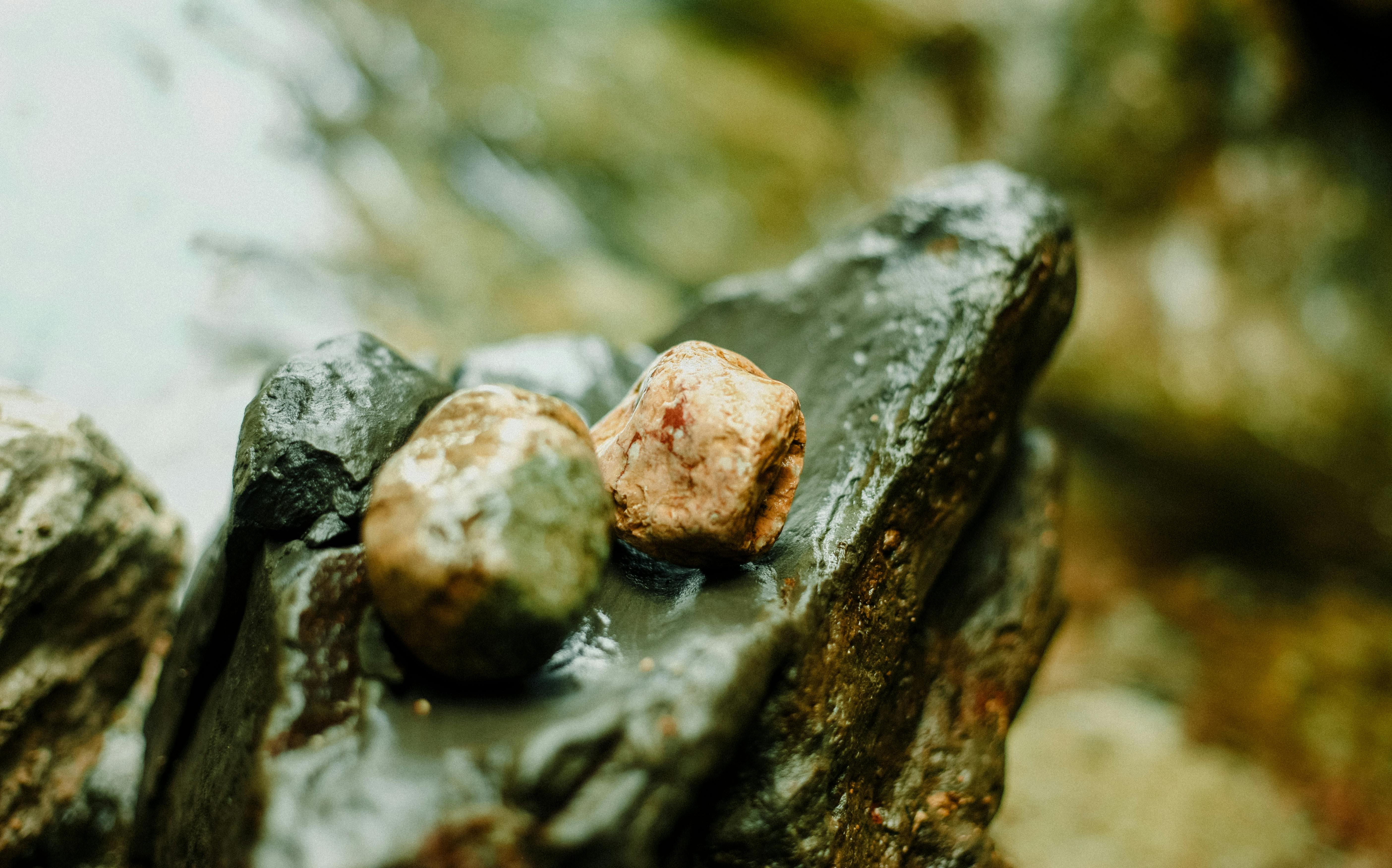 pexels-celeo-18146600