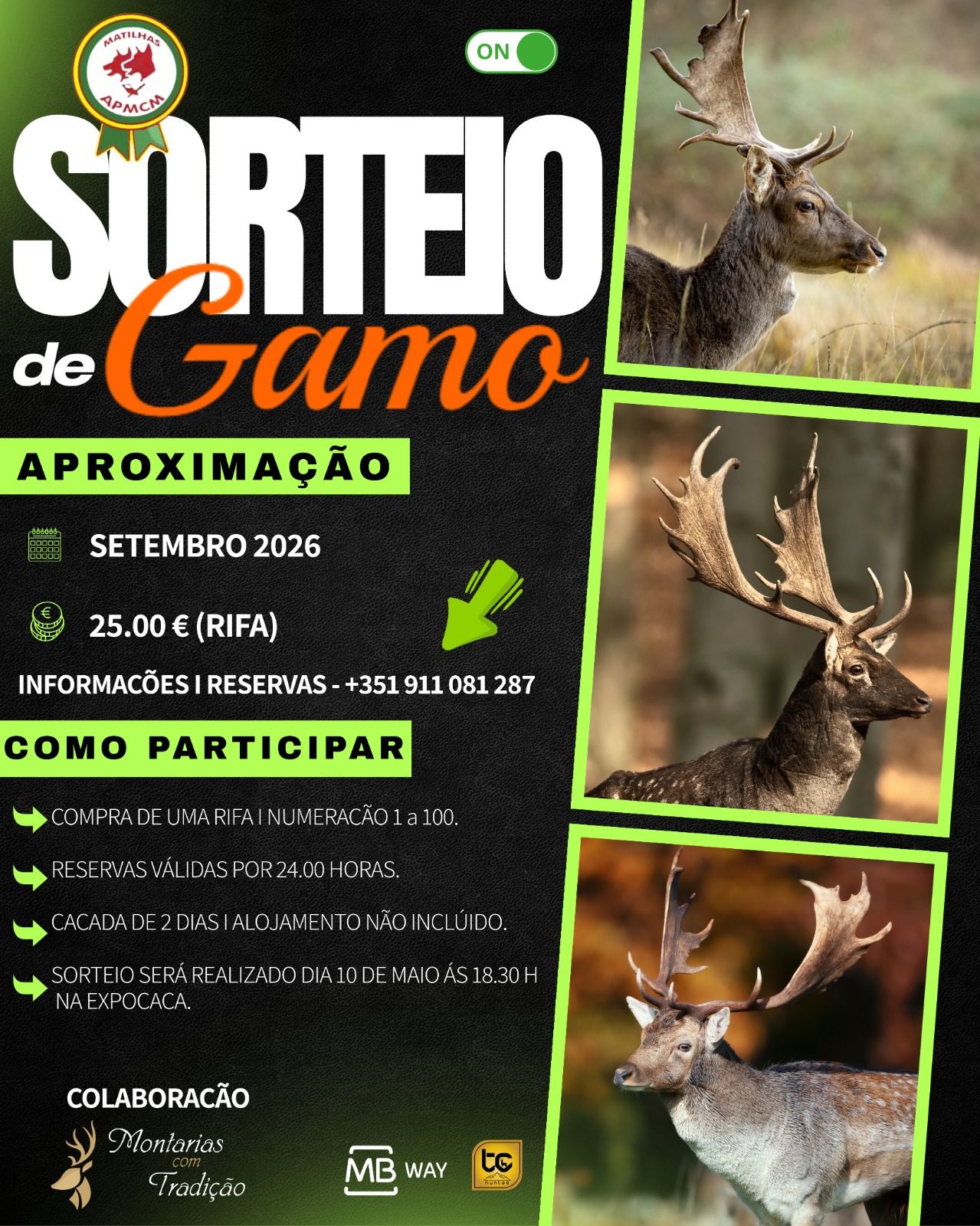 Gamo Lottery
