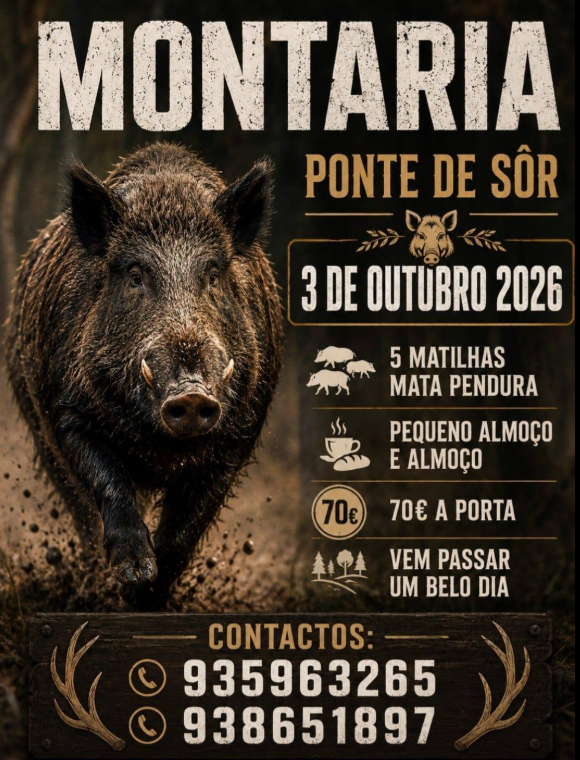 boar