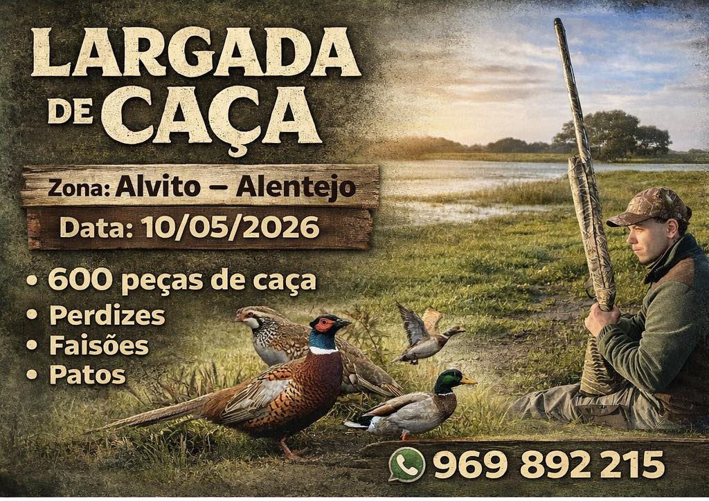 largada 600