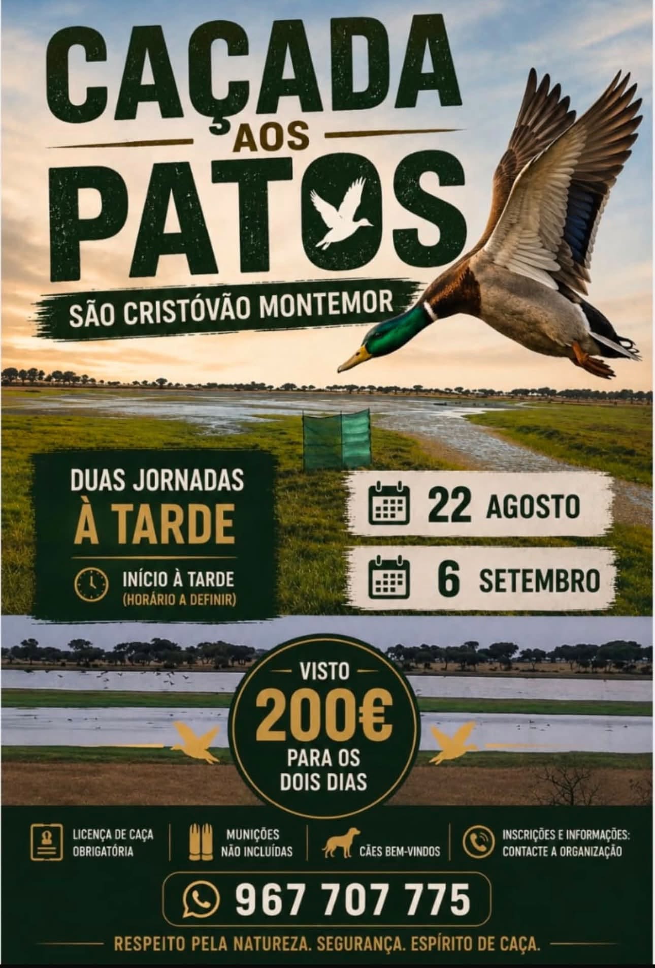 pato