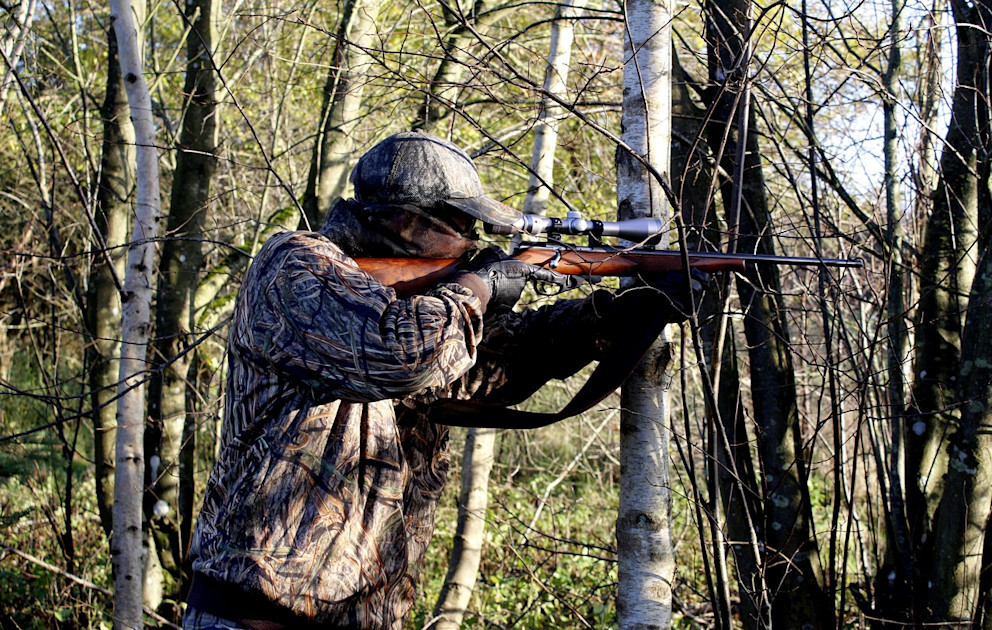 Hunting License in Portugal 2026 — Requirements, Exam & Costs (ICNF)