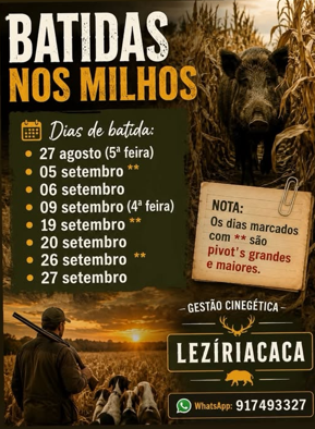 milho