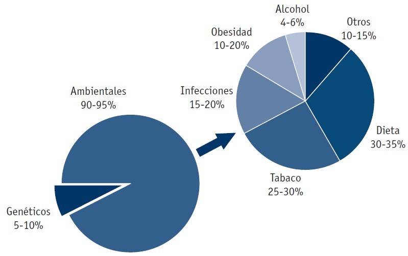 Factores relacionados con la etiología del cáncer. Fuente: Dietoterapia, Nutrición Clínica y Metabolismo, 3ª Ed. 2017.
