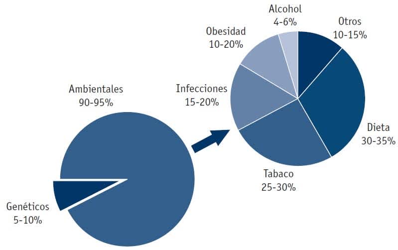 Factores relacionados con la etiología del cáncer. Fuente: Dietoterapia, Nutrición Clínica y Metabolismo, 3ª Ed. 2017.