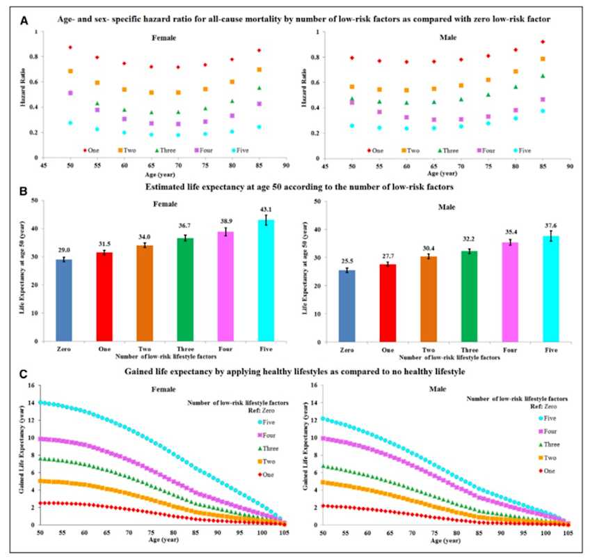 Esperanza de vida estimada a partir de la tasa de mortalidad general de los estadounidenses. A: Relación de riesgo; B: Esperanza de vida a los 50 años; C: Esperanza de vida por edad