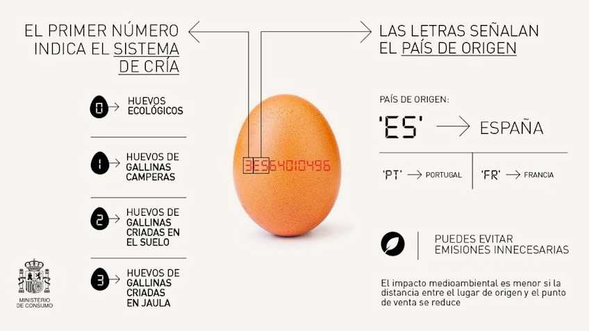 Etiquetado de los huevos. Ministerio de Consumo