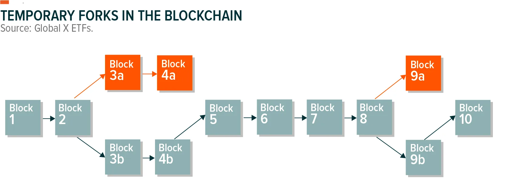 211026_Bitcoin101_Forked