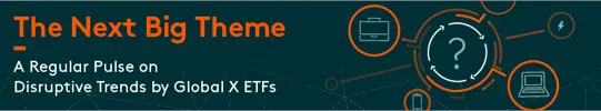 The Next Big Theme Banner