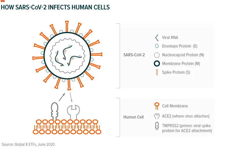 20jun10-Genomics-07