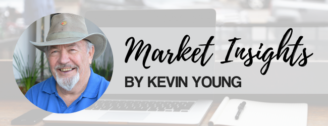 Property Prosper Retire by Kevin Young