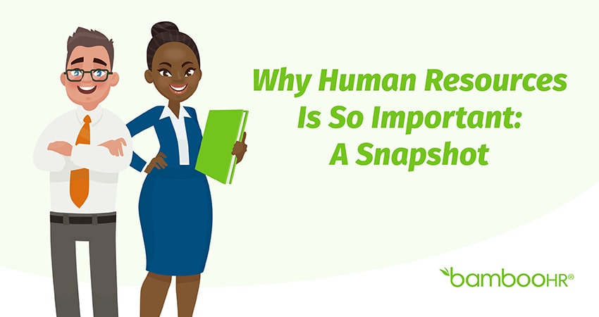 why-human-resources-important-essay-example-graduateway