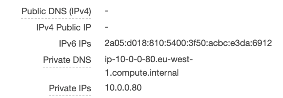 ec2-public-address-ipv6