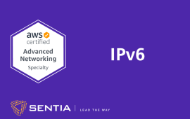 ANS Exercise 1.1: Subnetting and Routing with IPv6 | Sentia