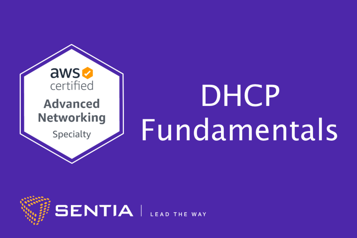 Sentia Tech Blog Ans Exercise 1 3 Dhcp Fundamentals
