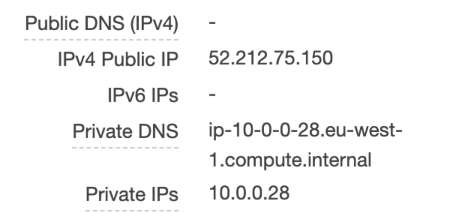 ec2-public-address