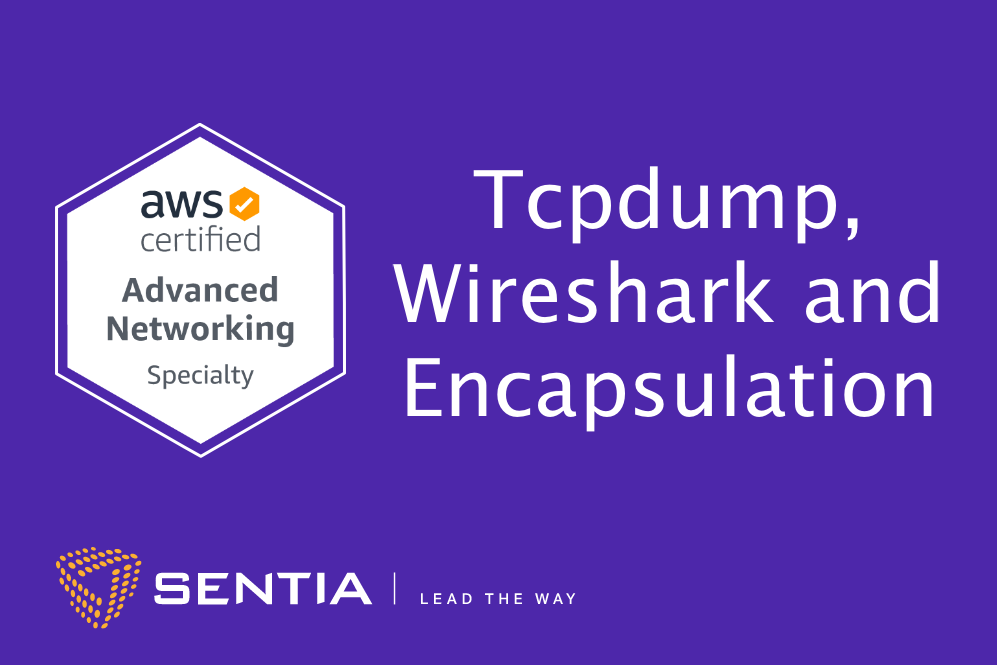 download wireshark essential training