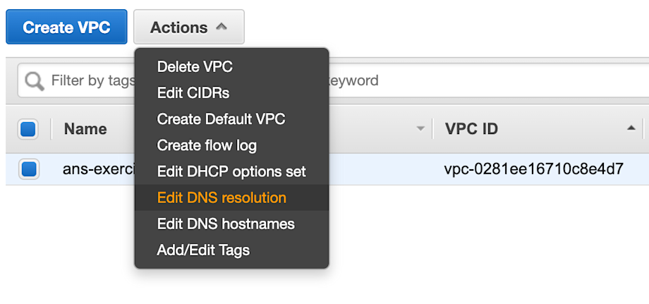 1.4-edit-dns-resolution