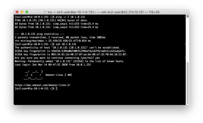 3.1-ping-and-ssh