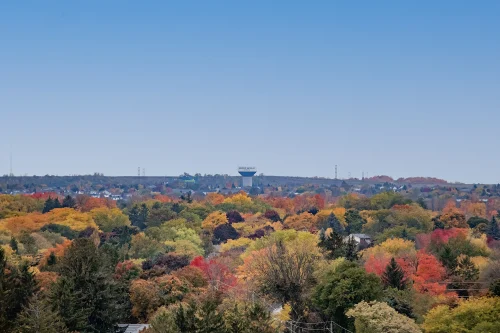 Top Fall Views from Kitchener-Waterloo Condos