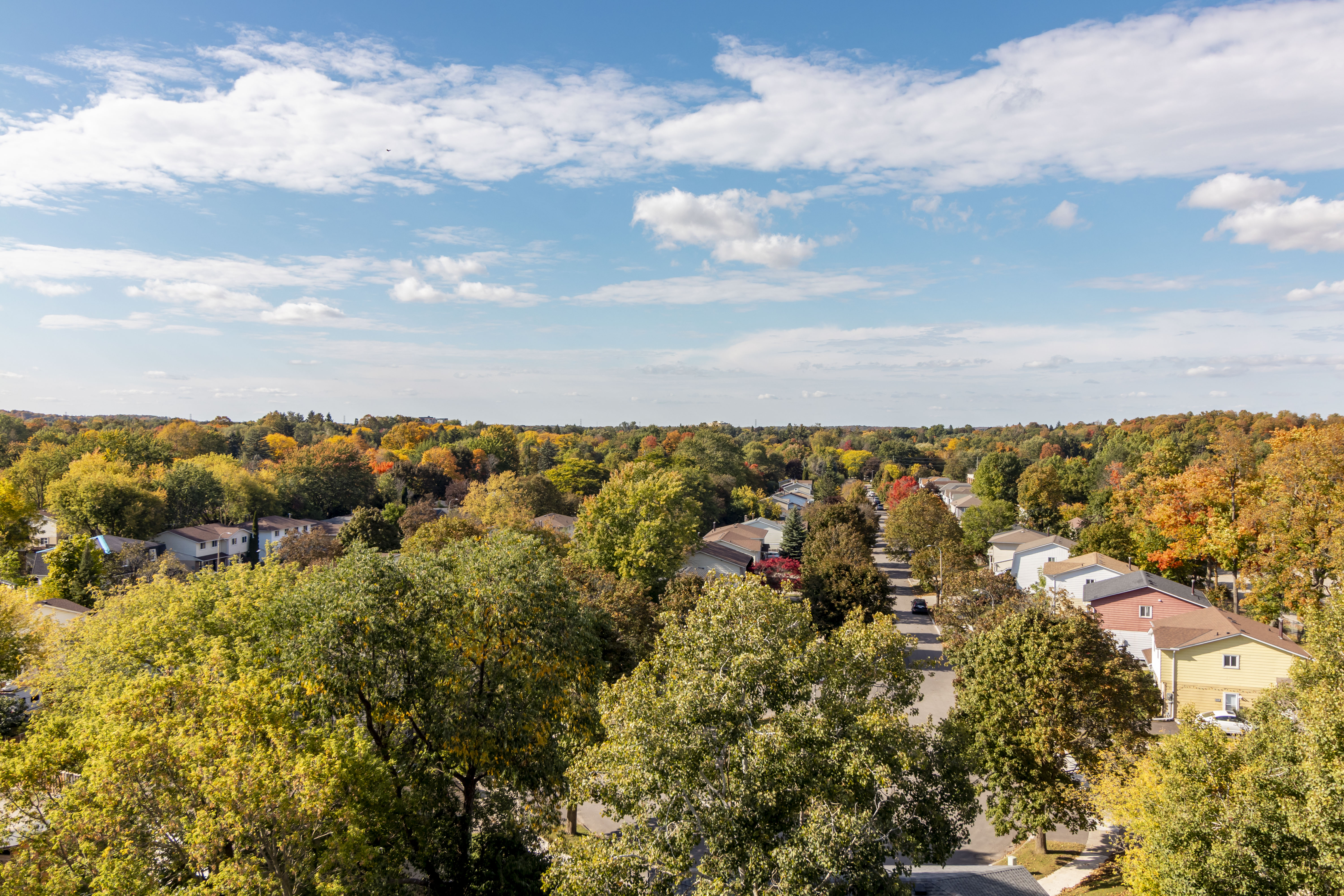 Fall View Shot Moda