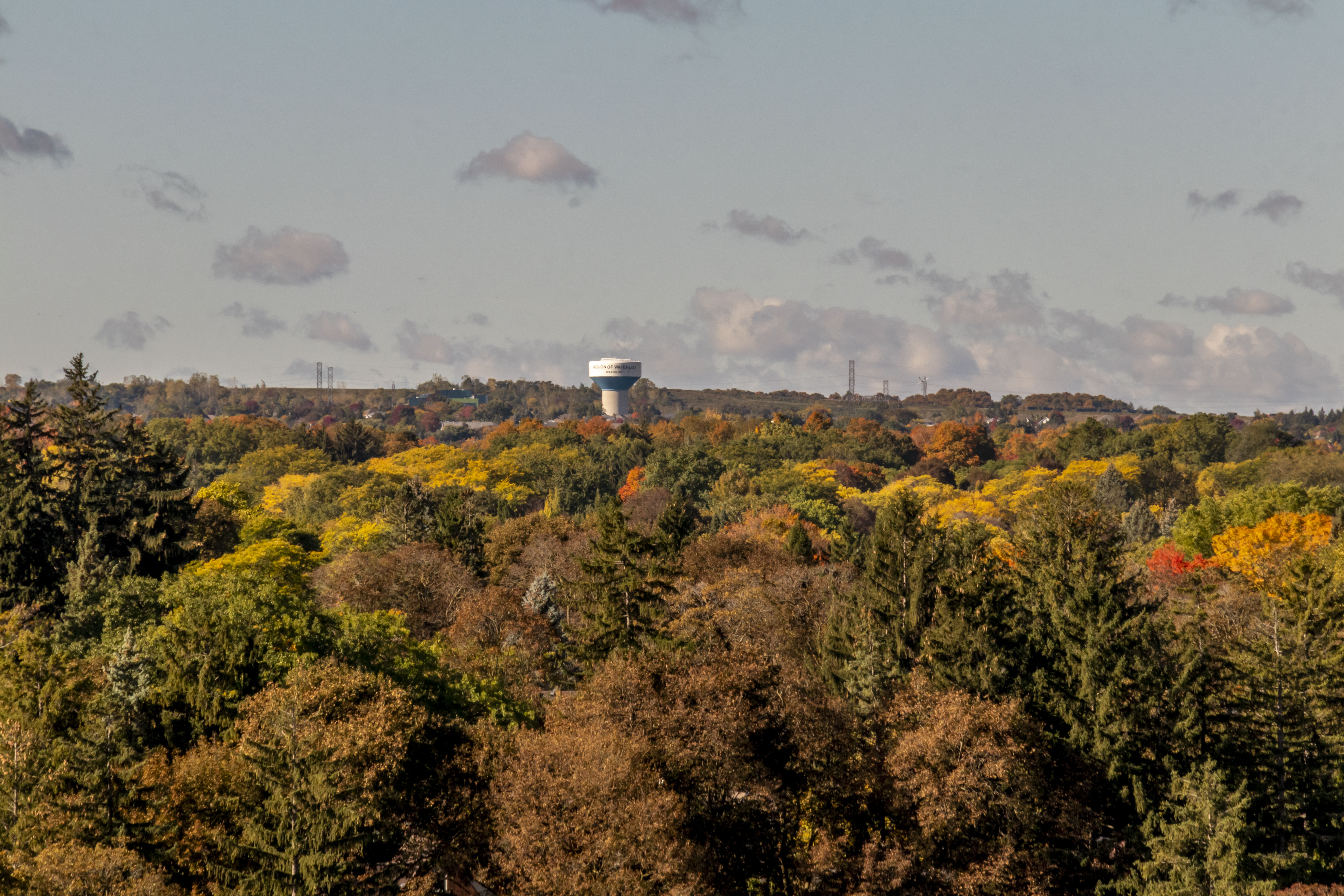 Fall View Shot Circa 2