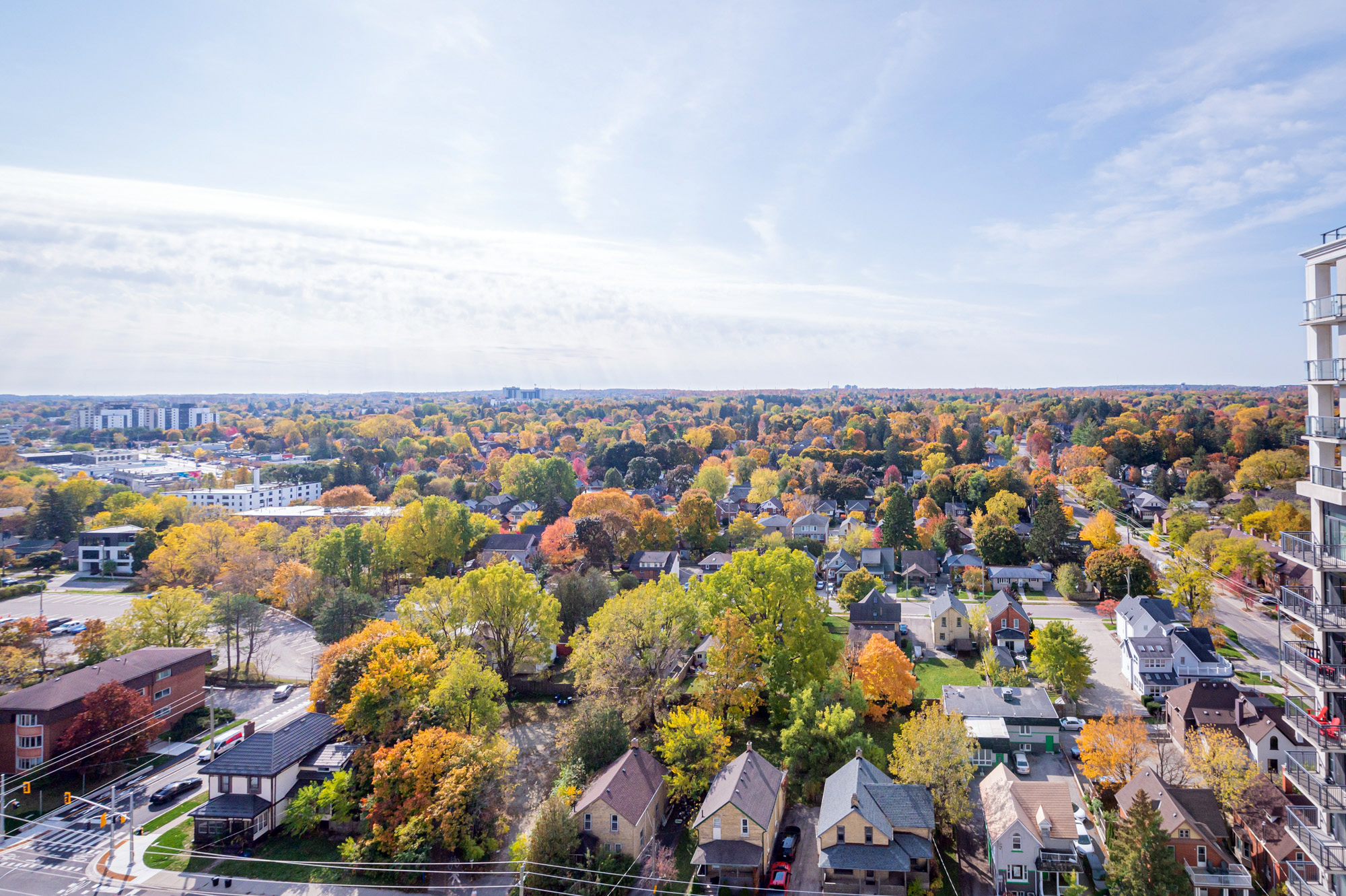 155 Caroline Street Fall Views