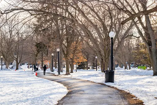 The 12 Markets of Christmas: A Guide to Holiday Cheer in the Waterloo Region