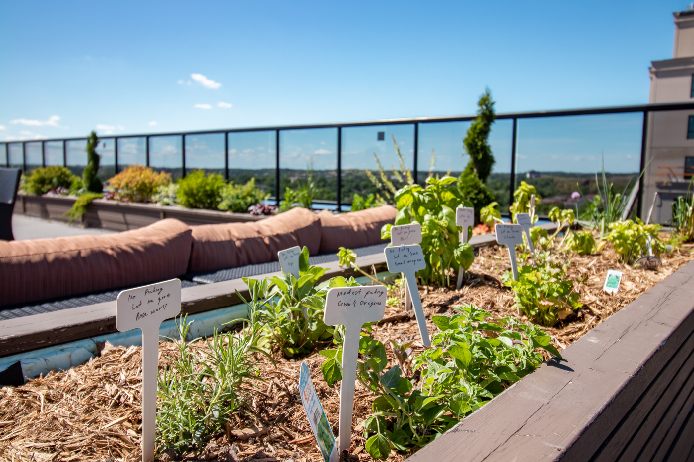 Rooftop Gardens Arrow Lofts