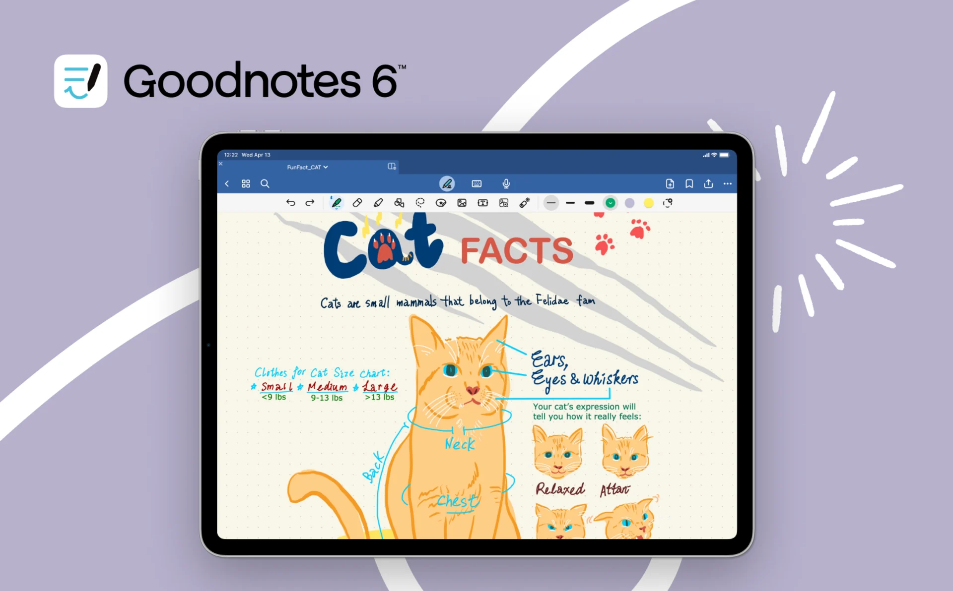 GoodNotes 6 iPad, Cat Drawing