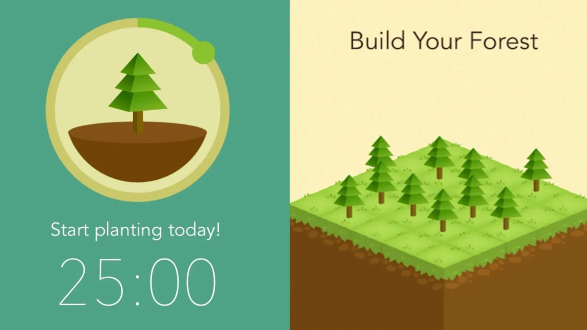 Forest App Screens