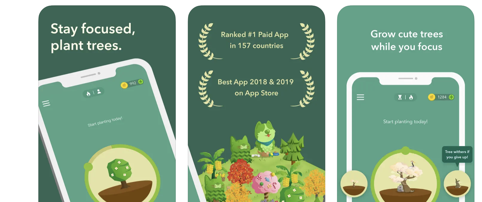 Forest App Review Best Features, Pricing, Alternatives